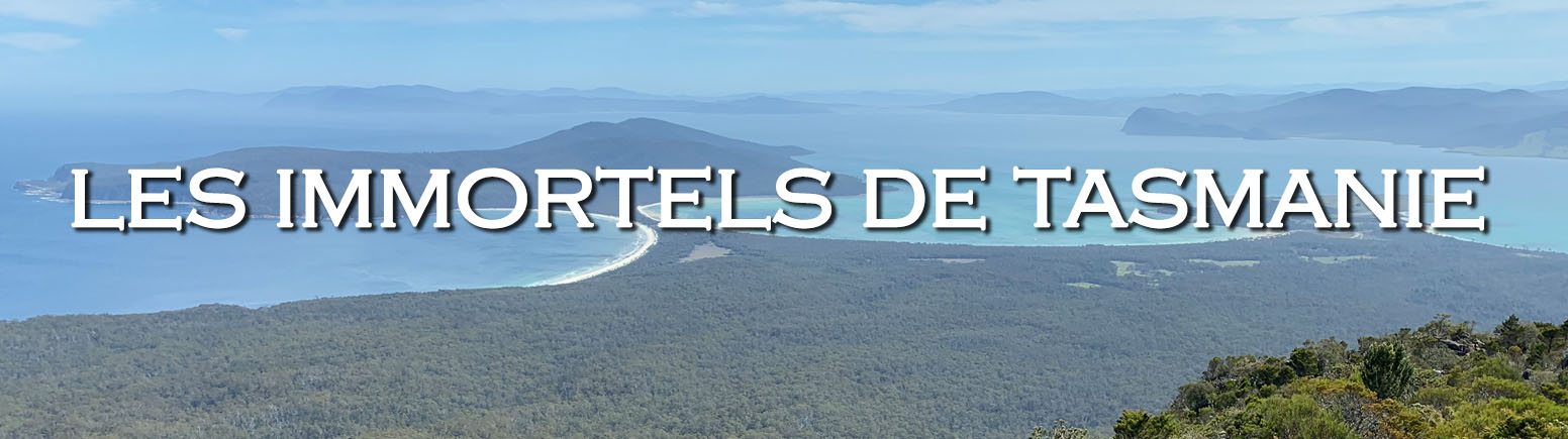 Les immortels de Tasmanie banner